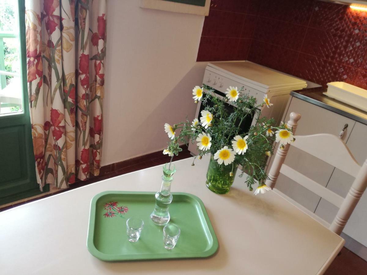 Bellevue Appartement Sitía
